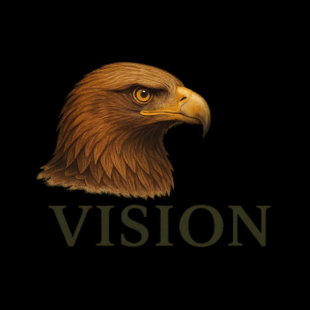 Vision