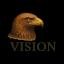 Vision